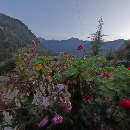 The Void - Tirthan Valley Gushaini Exterior photo