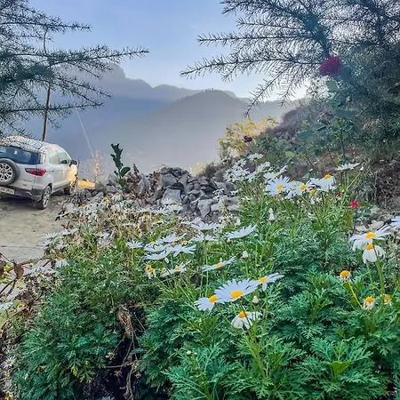 The Void - Tirthan Valley Gushaini Exterior photo
