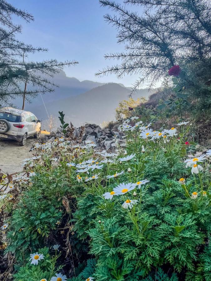 Homestay The Void - Tirthan Valley Gushaini