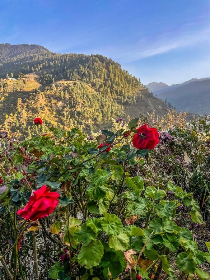 The Void - Tirthan Valley Homestay *